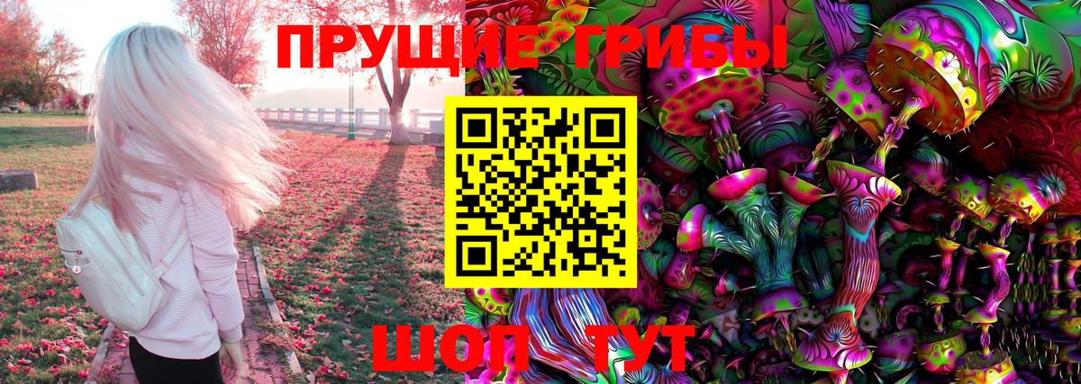 Когалым  Галлюциногенные грибы Cubensis  Вход с VPN 