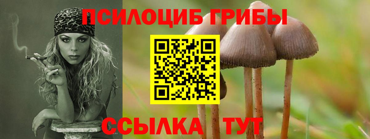 Меф мяу мяу Когалым